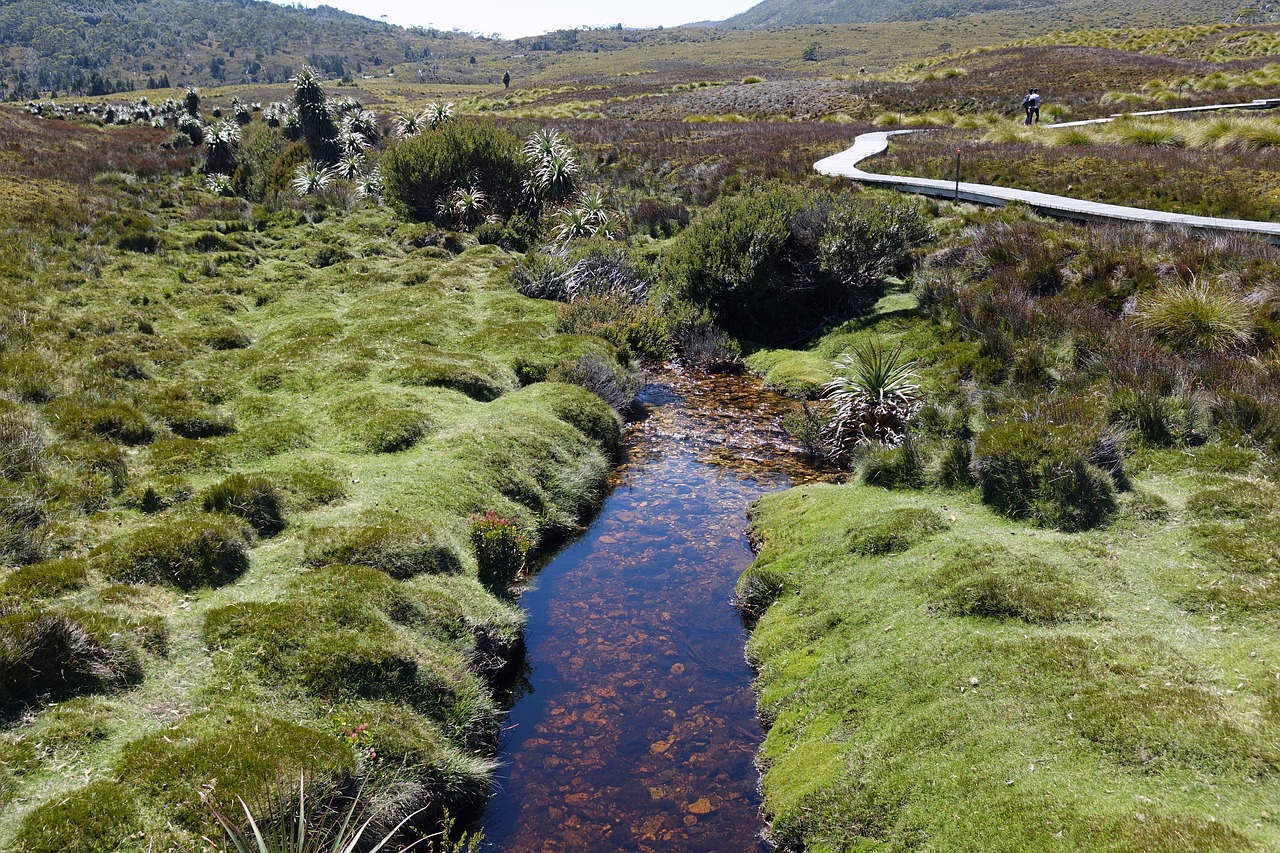 tasmania  cradle mountain  australia free photo