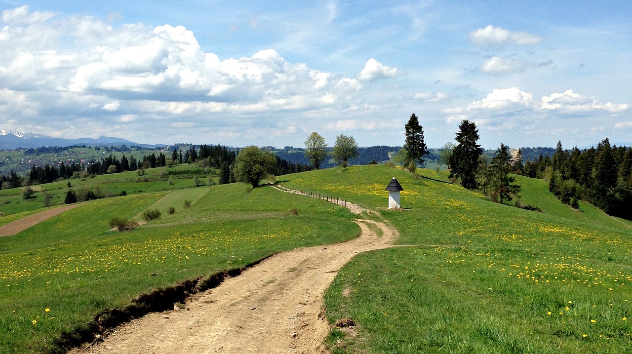 tatra bukovina poland tour free photo