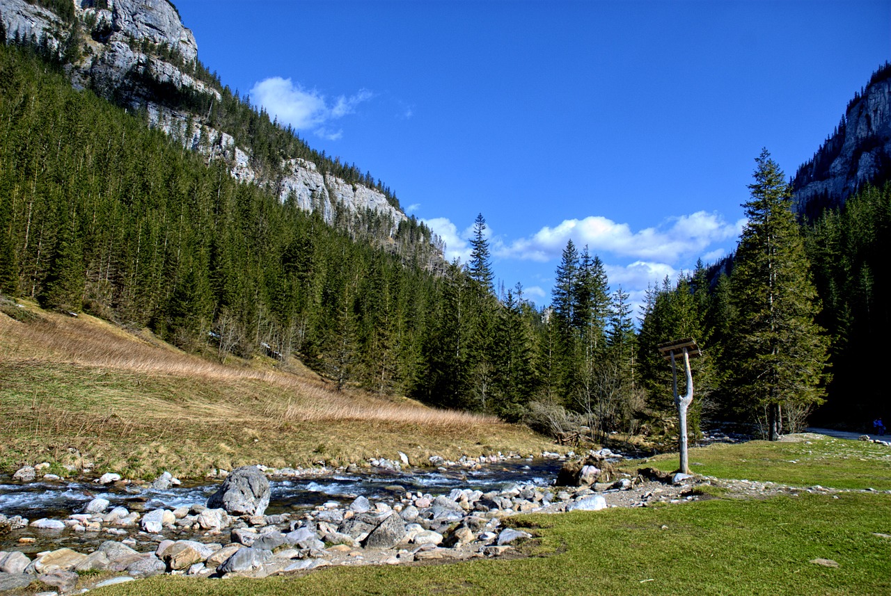 tatry kościeliska valley winter free photo