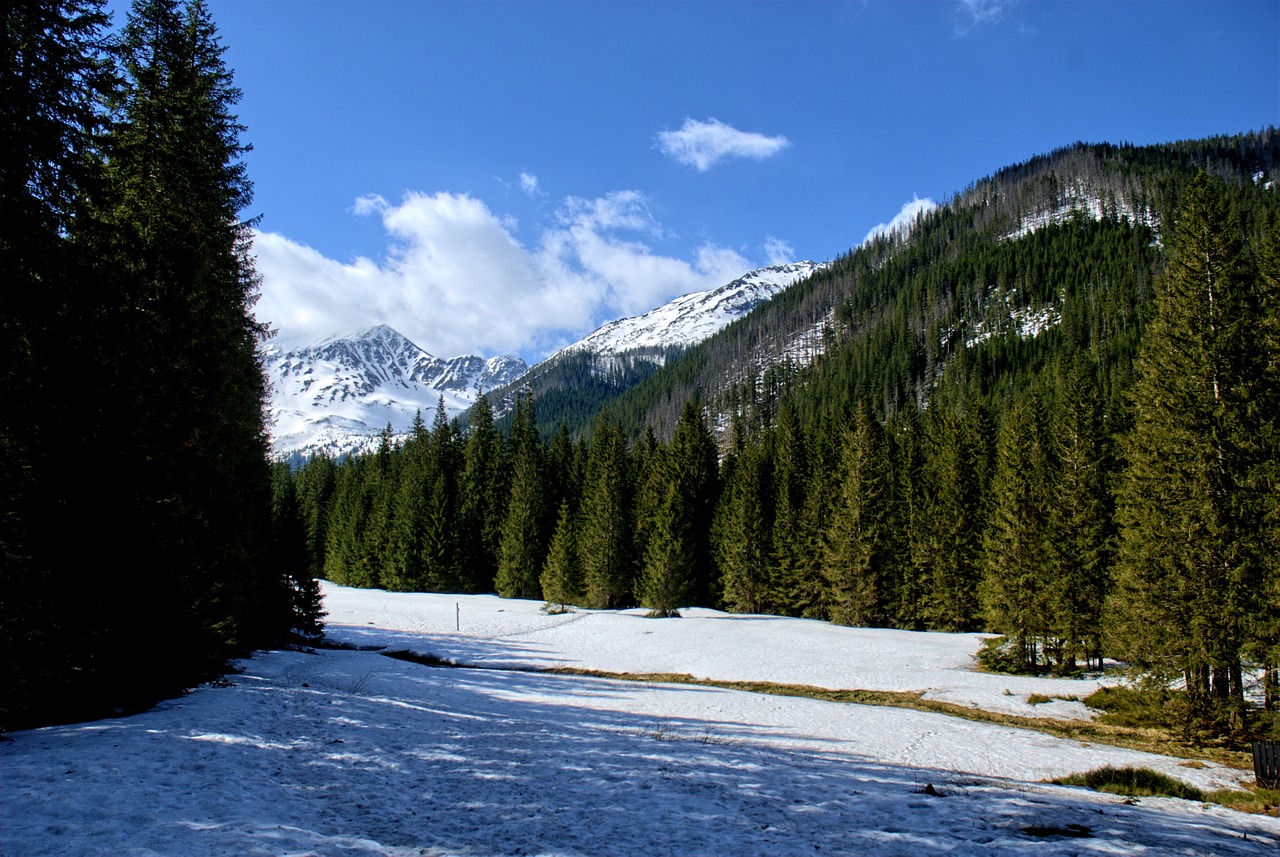 tatry kościeliska valley winter free photo