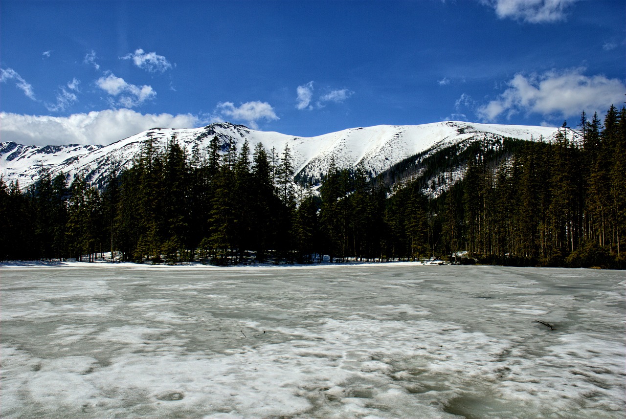 tatry kościeliska valley winter free photo