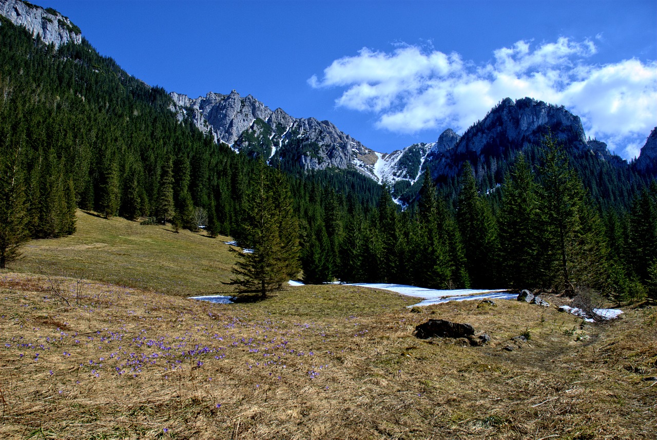 tatry kościeliska valley winter free photo