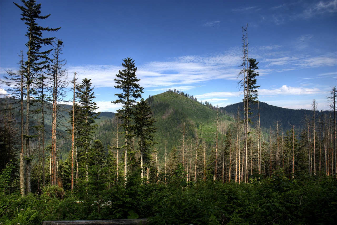 tatry poland czarwone valleys free photo