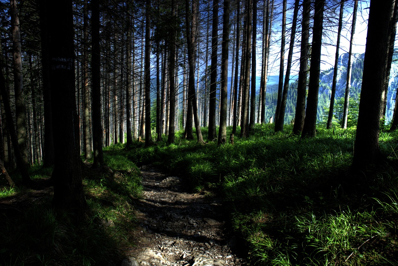 tatry poland czerwone wierchy free photo