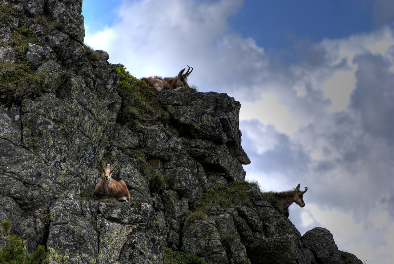 tatry poland czerwone wierchy free photo