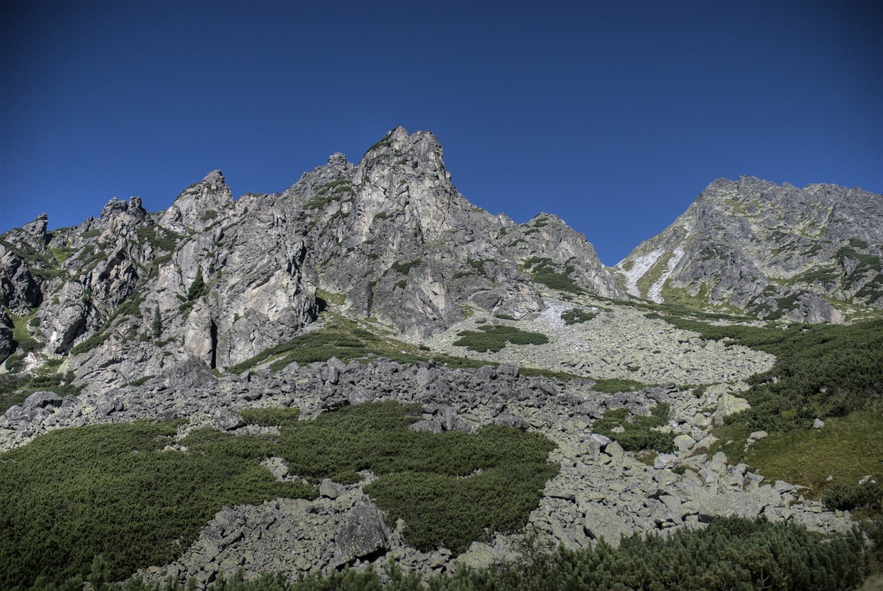 tatry bystre sedlo slovakia free photo