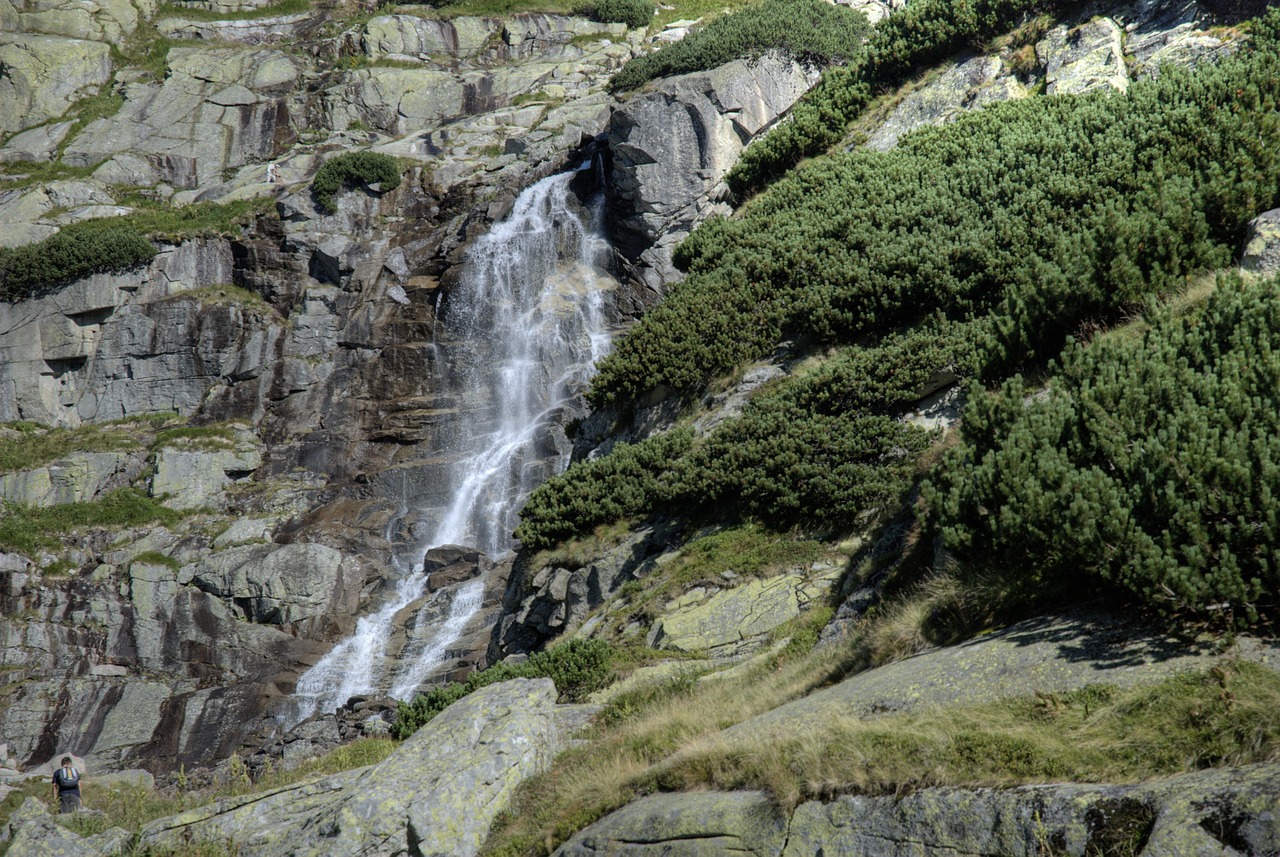 tatry bystre sedlo slovakia free photo