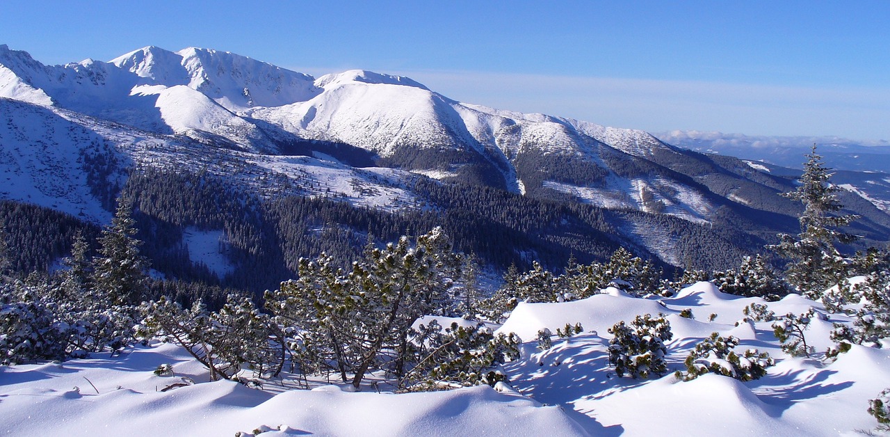 tatry mountains winter free photo