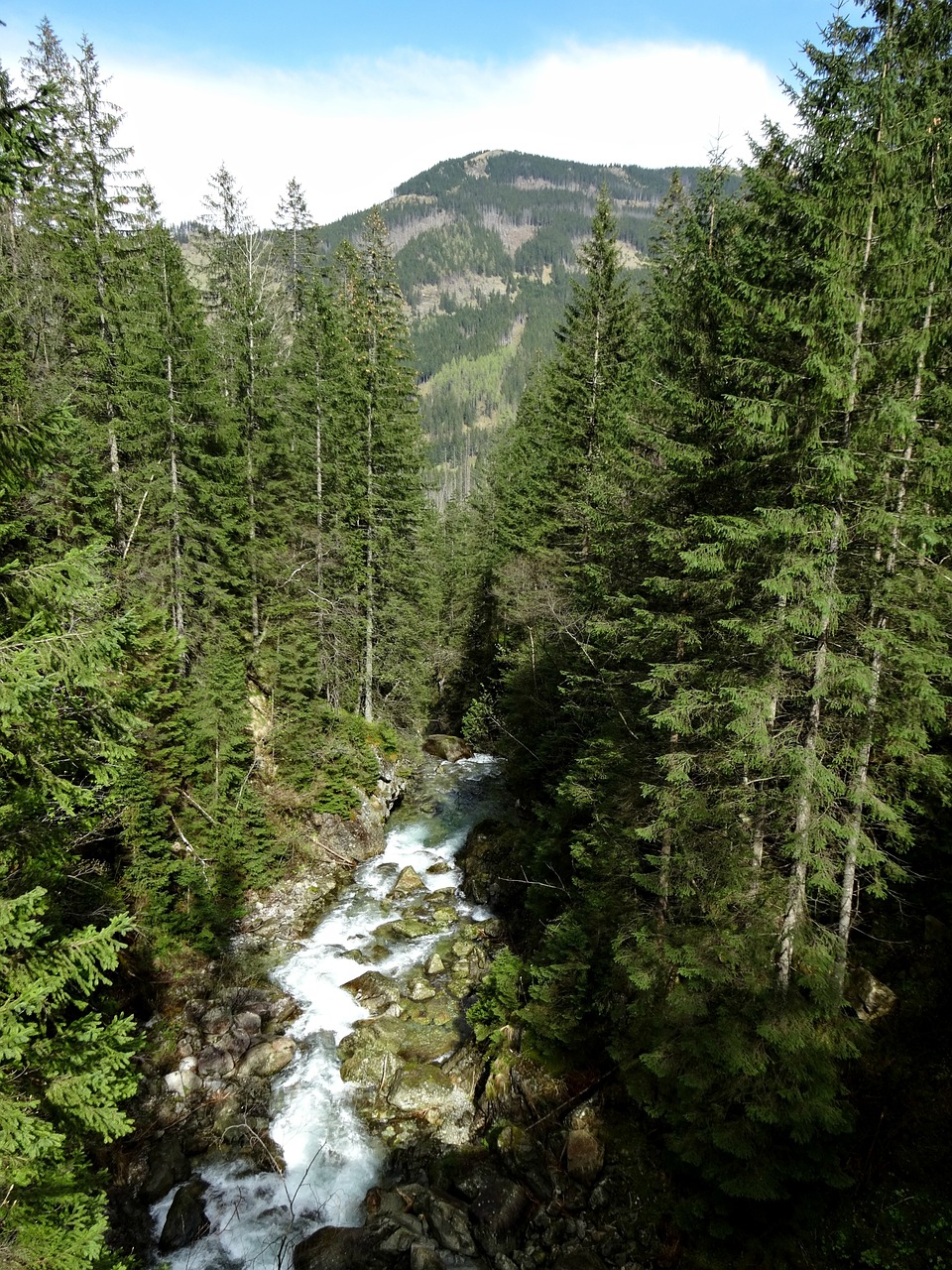 tatry mountains the high tatras free photo