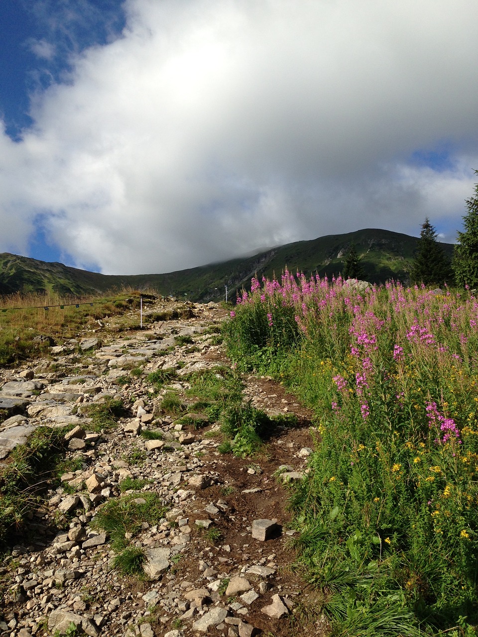 tatry mountains trail free photo