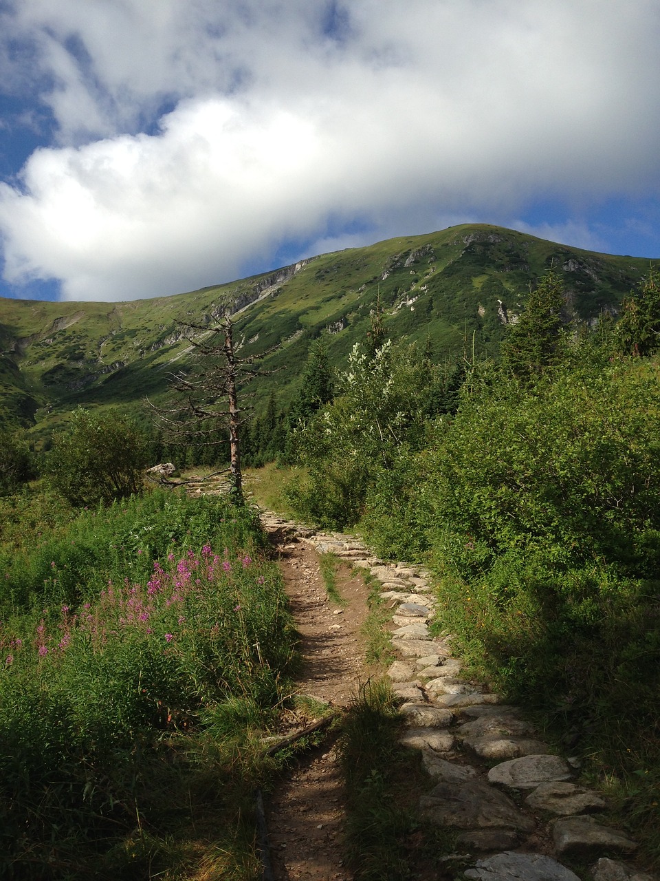 tatry mountains landscape free photo