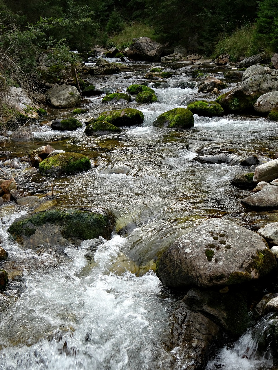 tatry mountains water free photo