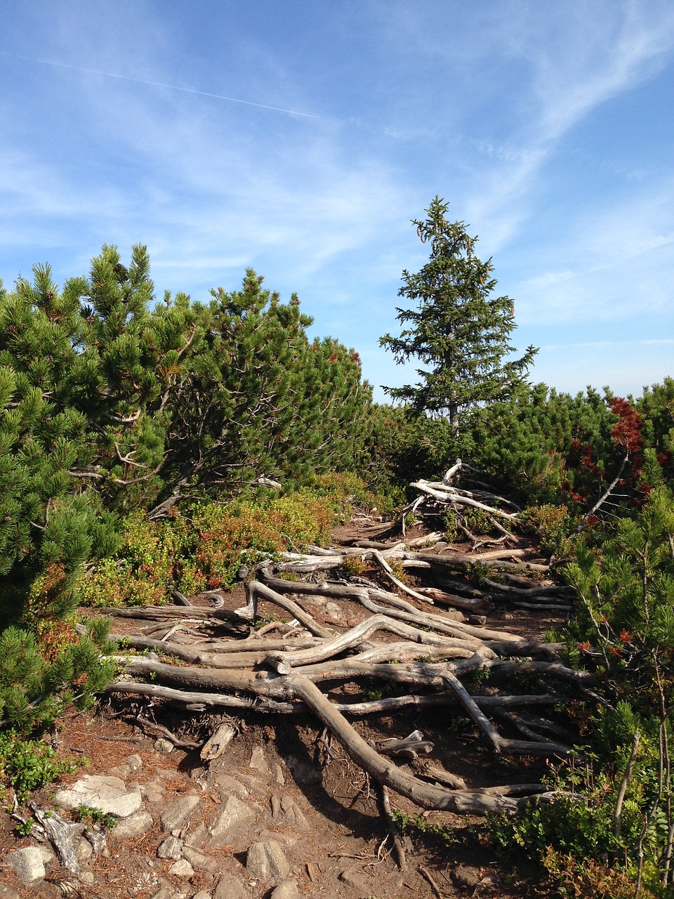 tatry mountains poland free photo