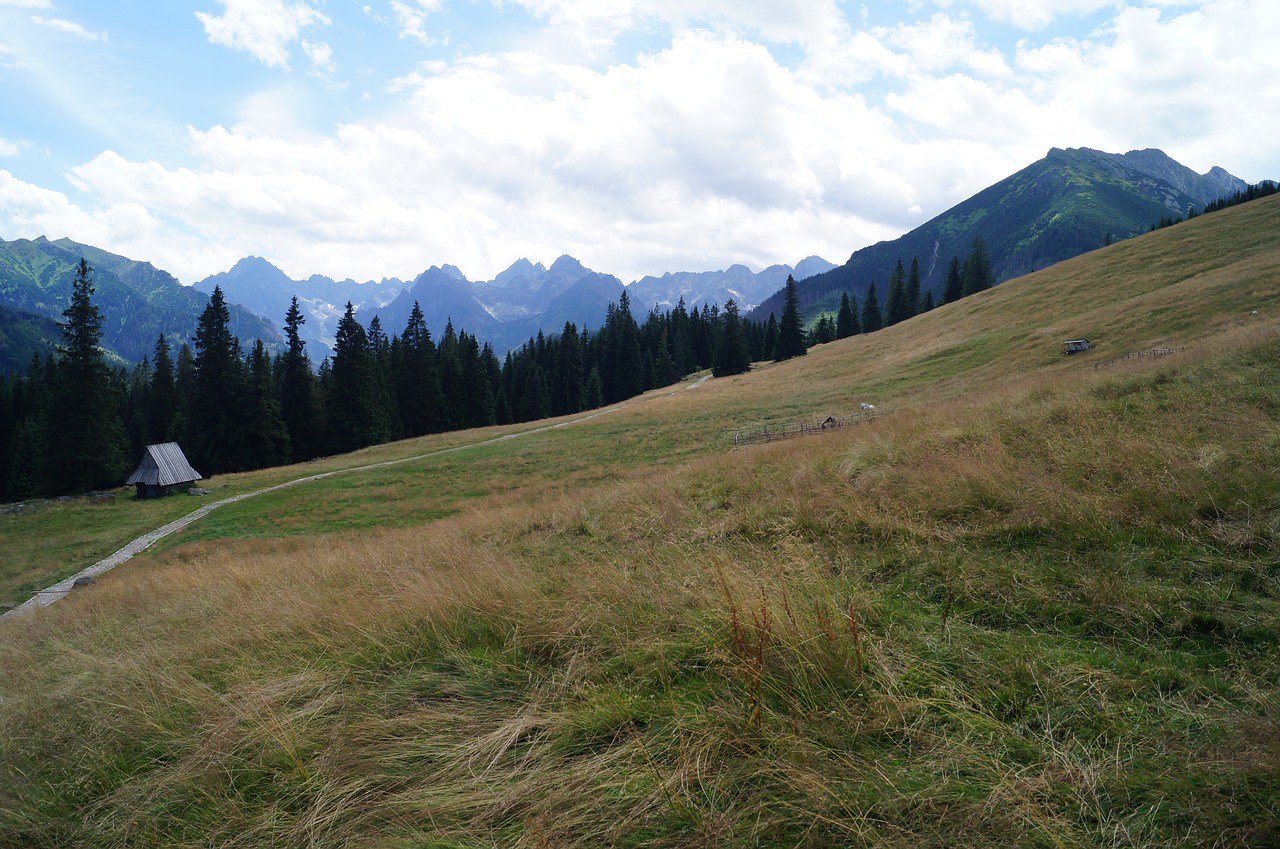 tatry nature mountains free photo