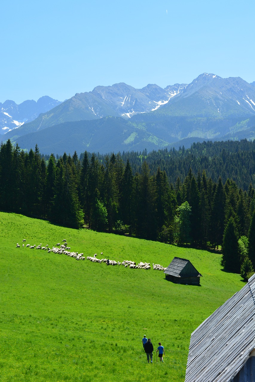 tatry buried top view free photo