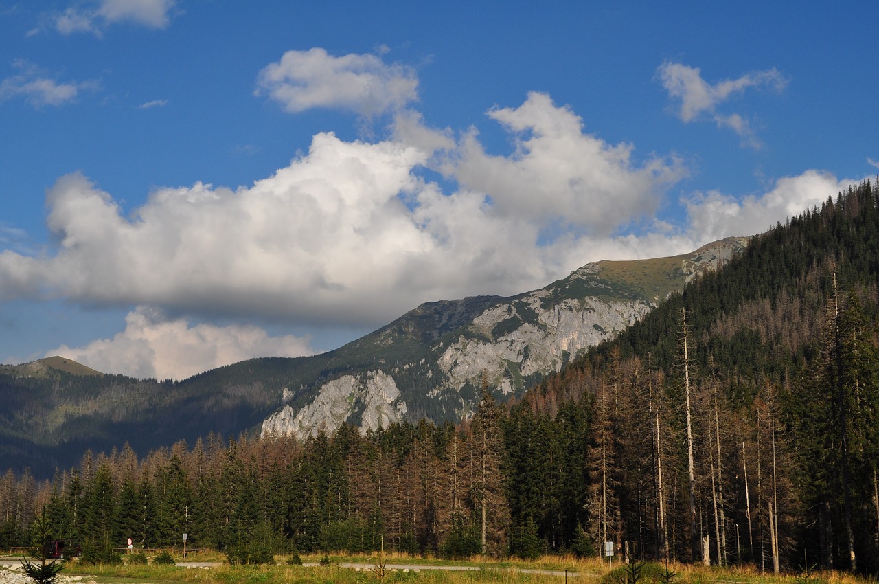 tatry the national park landscape free photo