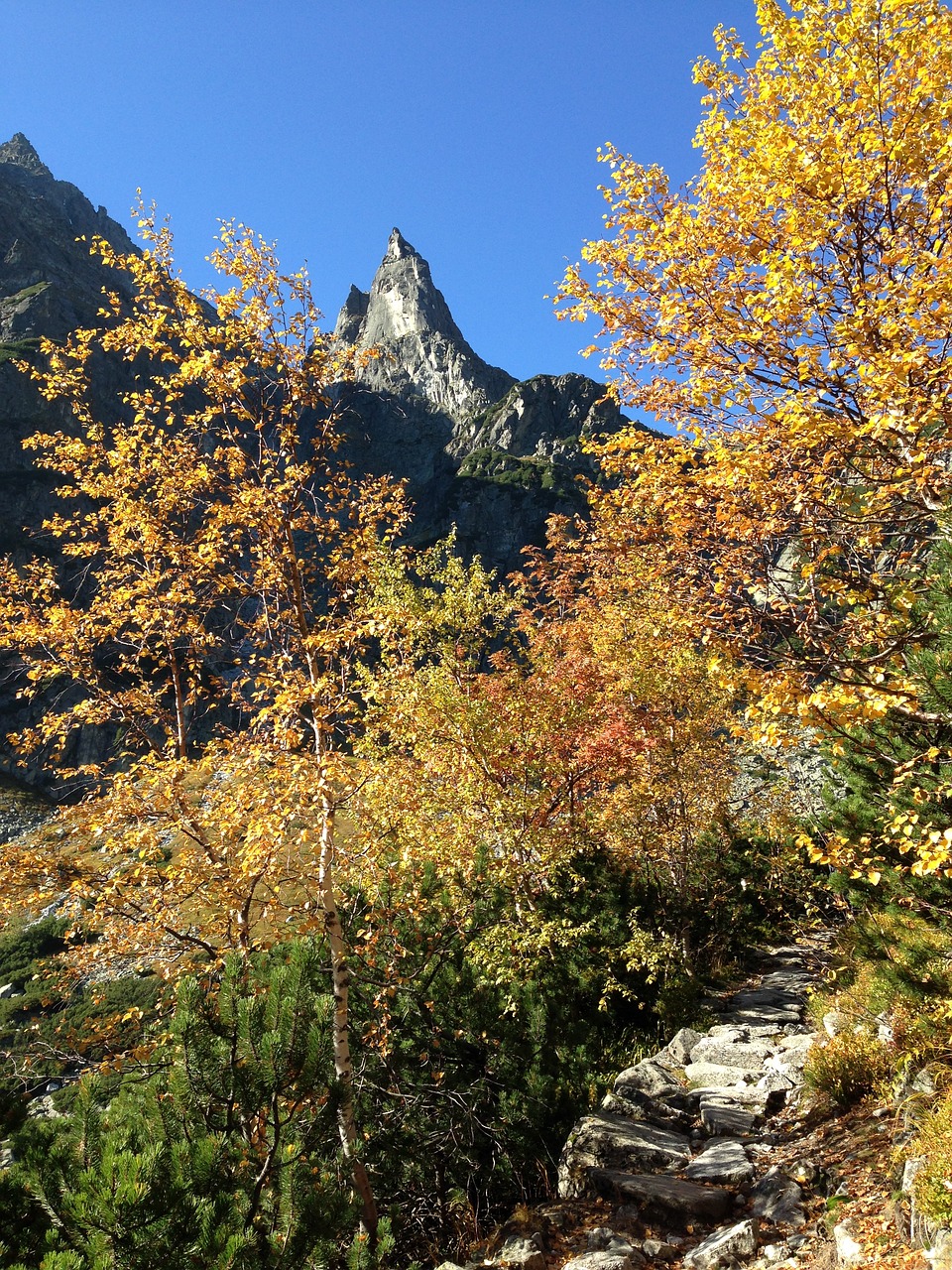 tatry mountains autumn free photo