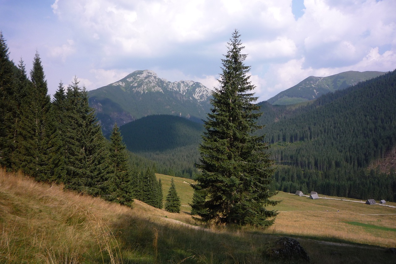 tatry  poland  mountains free photo