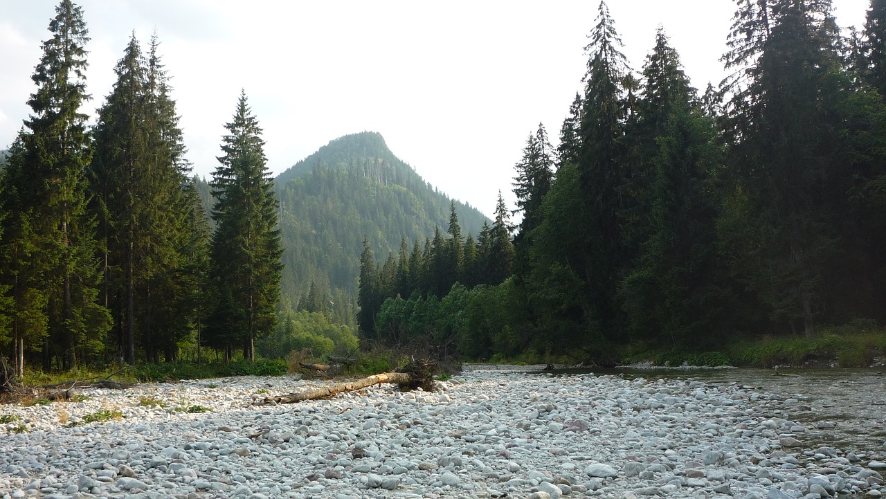 tatry  poland  mountains free photo