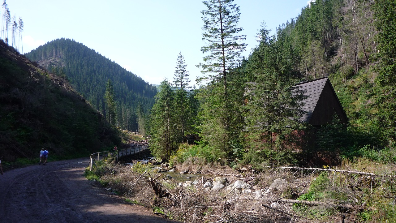 tatry  poland  mountains free photo