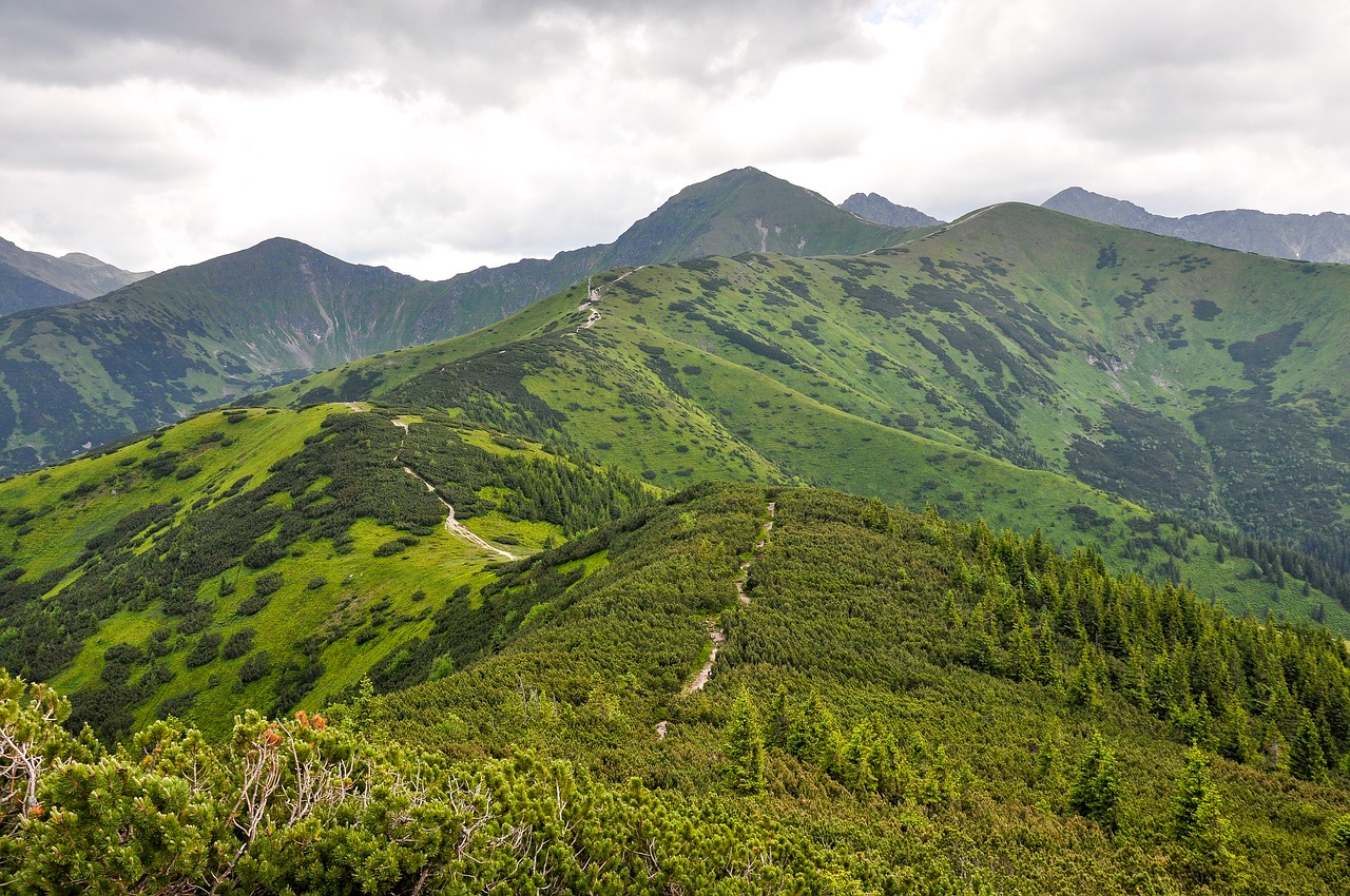 tatry  mountains  landscape free photo