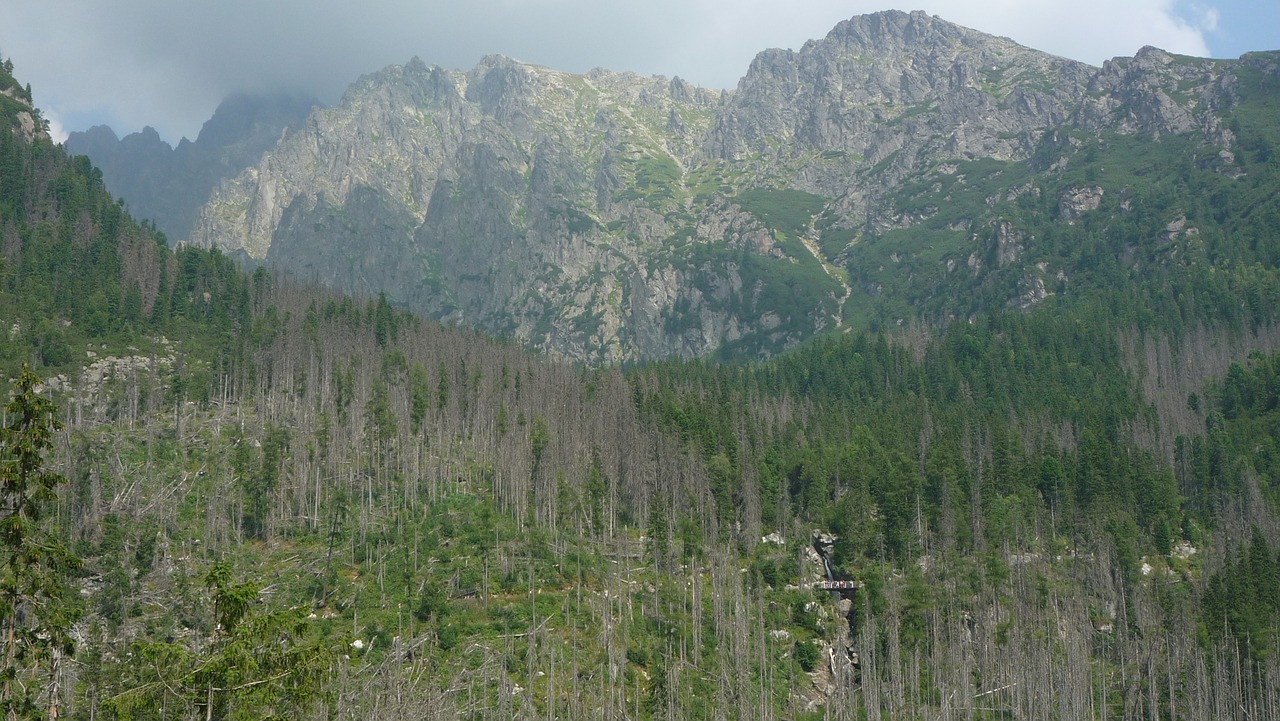 tatry  mountains  landscape free photo