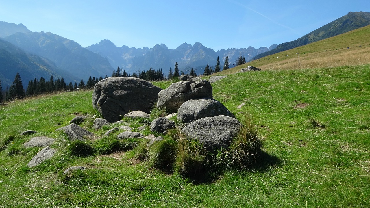 tatry  mountains  rusinowa logs free photo