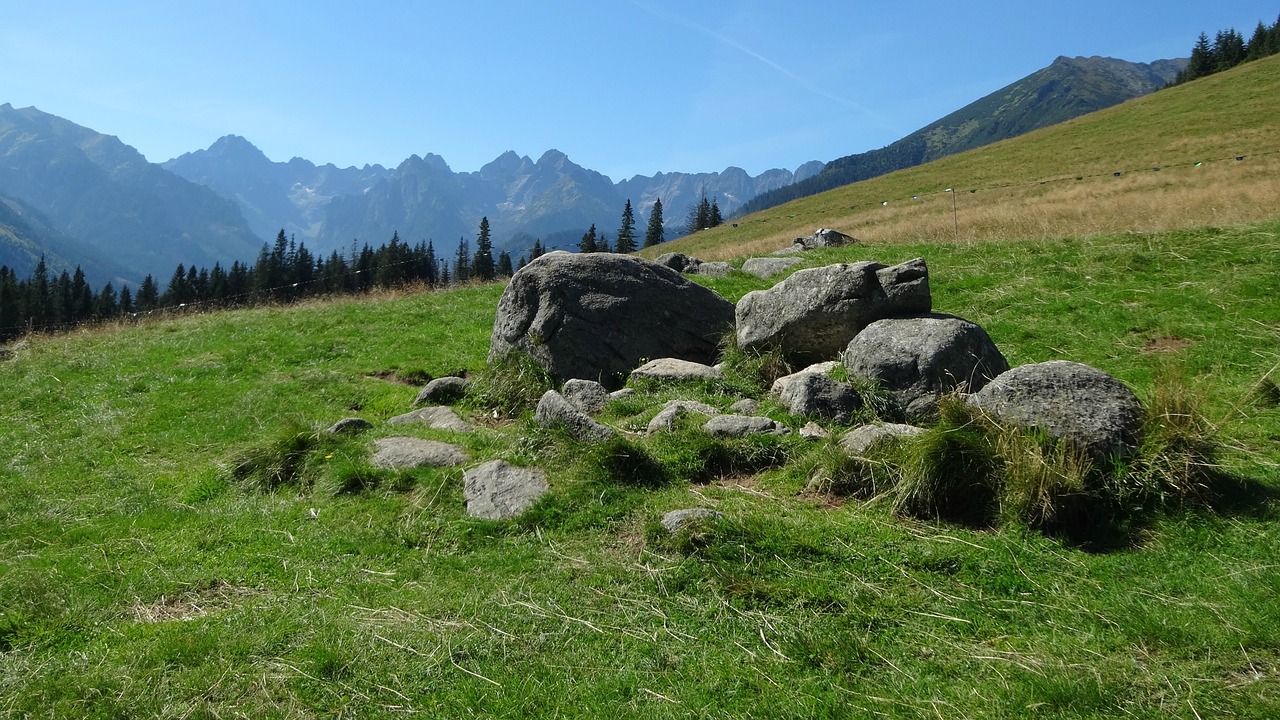 tatry  rusinowa logs  mountains free photo