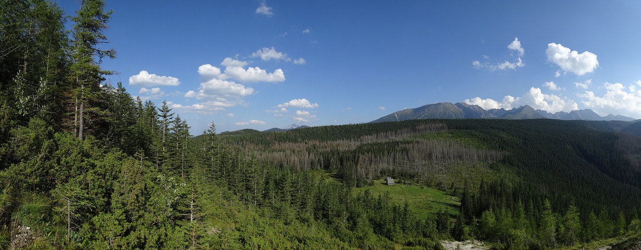 tatry  mountains  landscape free photo