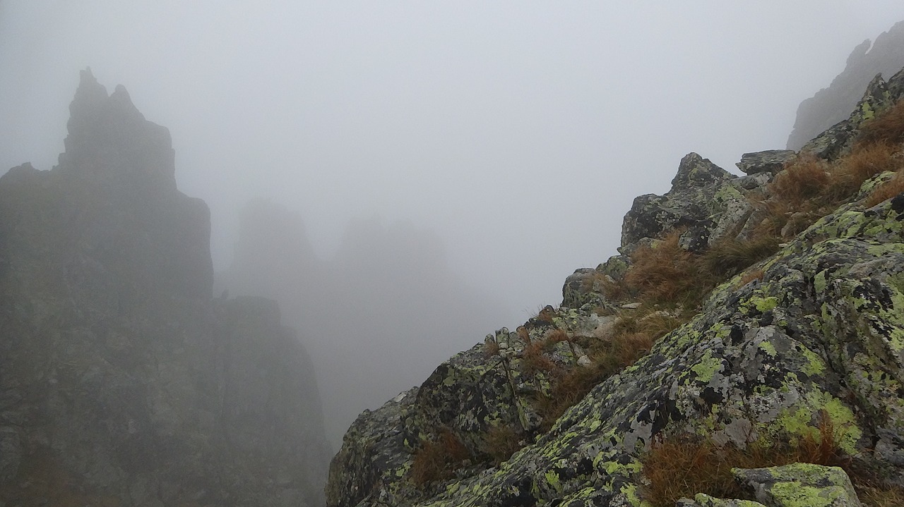 tatry  the fog  mountains free photo