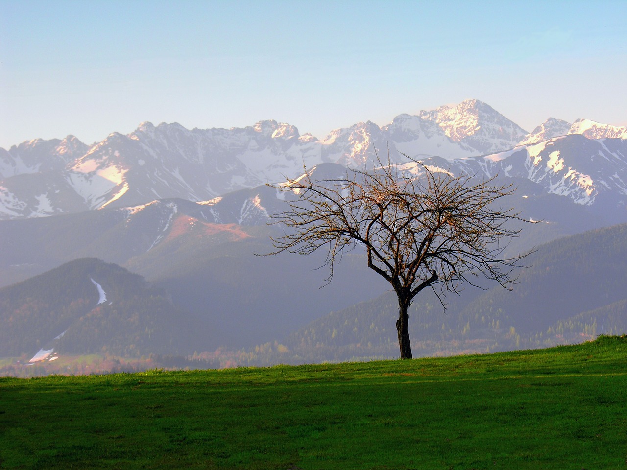 tatry  tree  landscape free photo