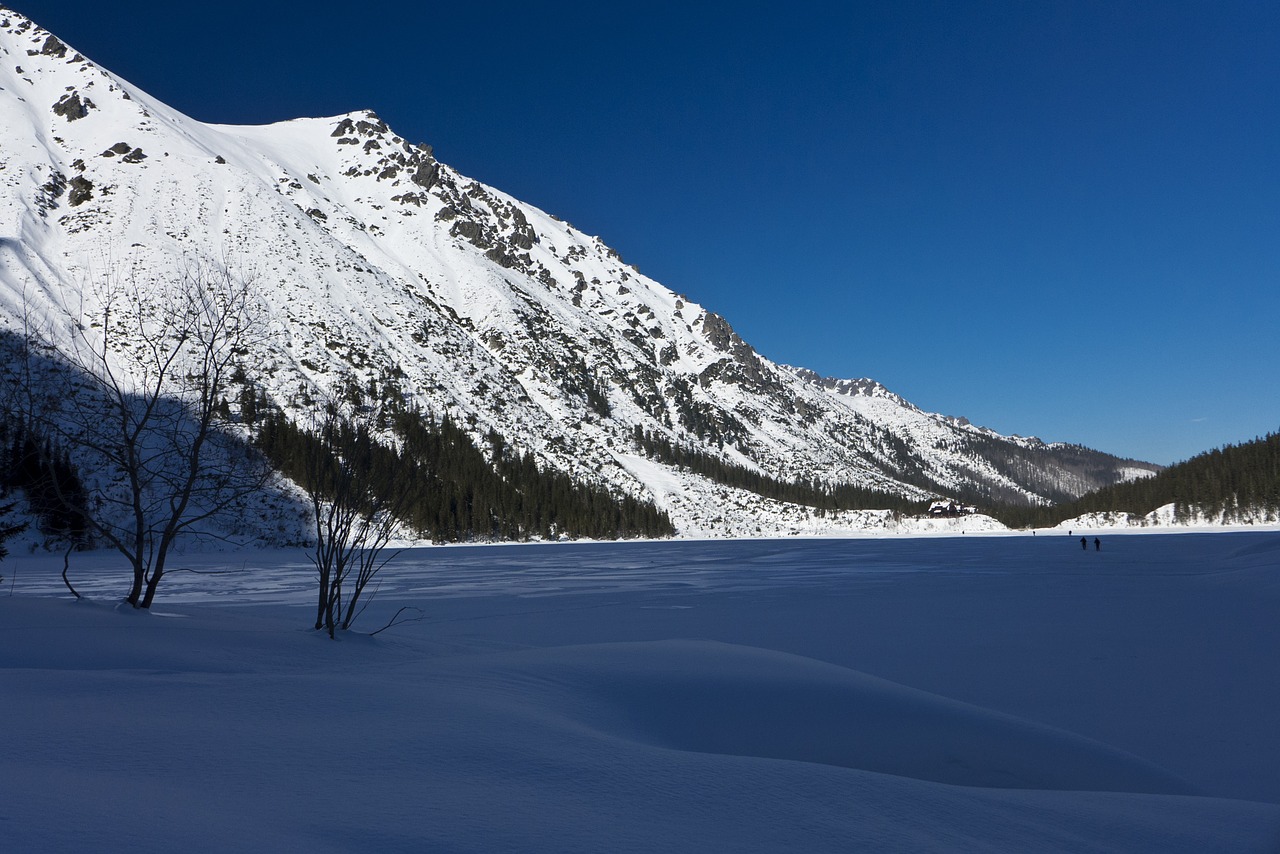 tatry mountains winter in the mountains free photo