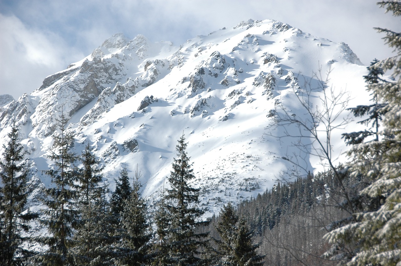 tatry gerlach winter free photo