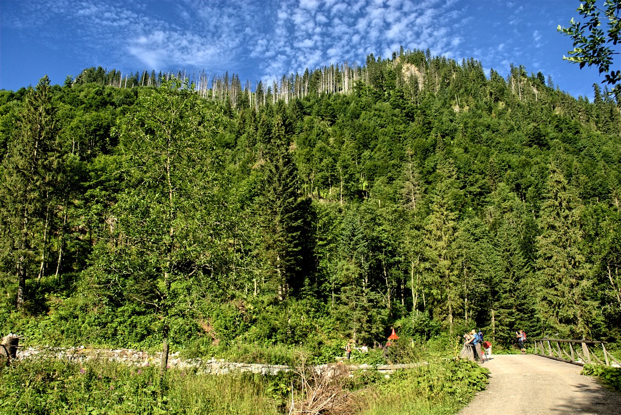 tatry slovakia landscape free photo