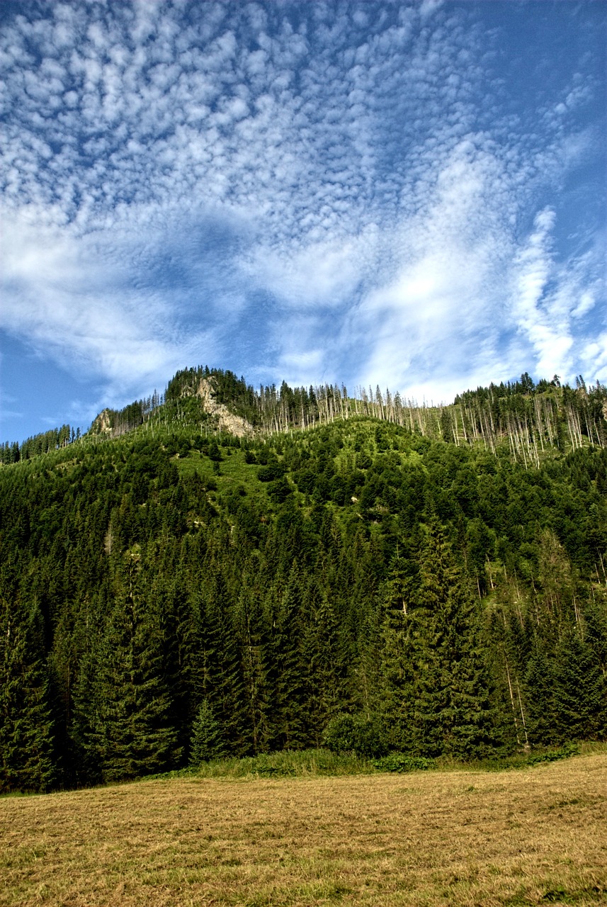 tatry slovakia landscape free photo