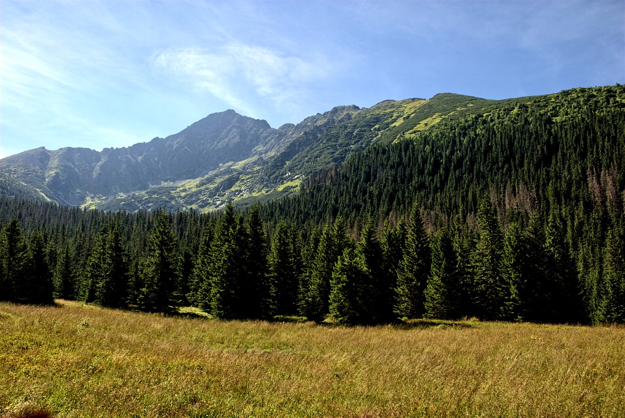 tatry slovakia landscape free photo