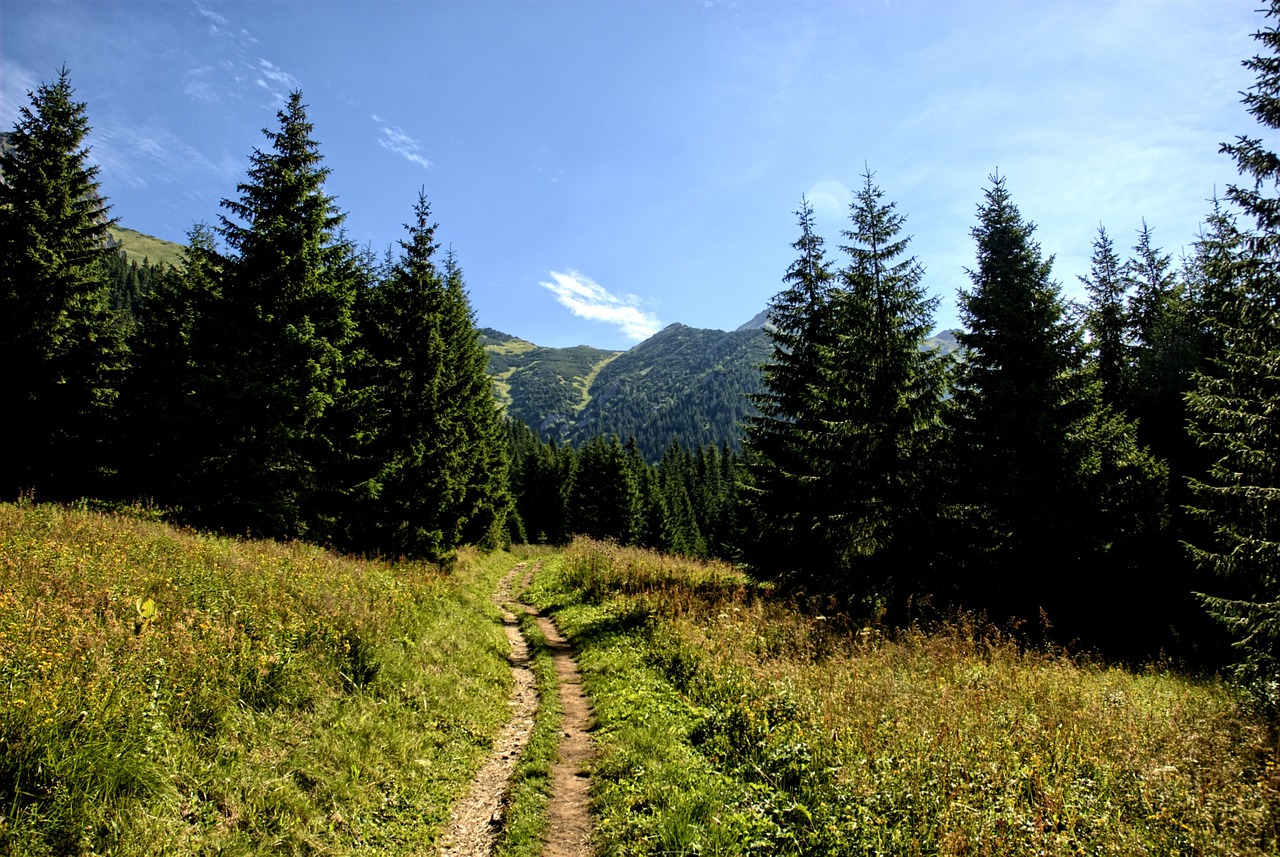 tatry slovakia landscape free photo