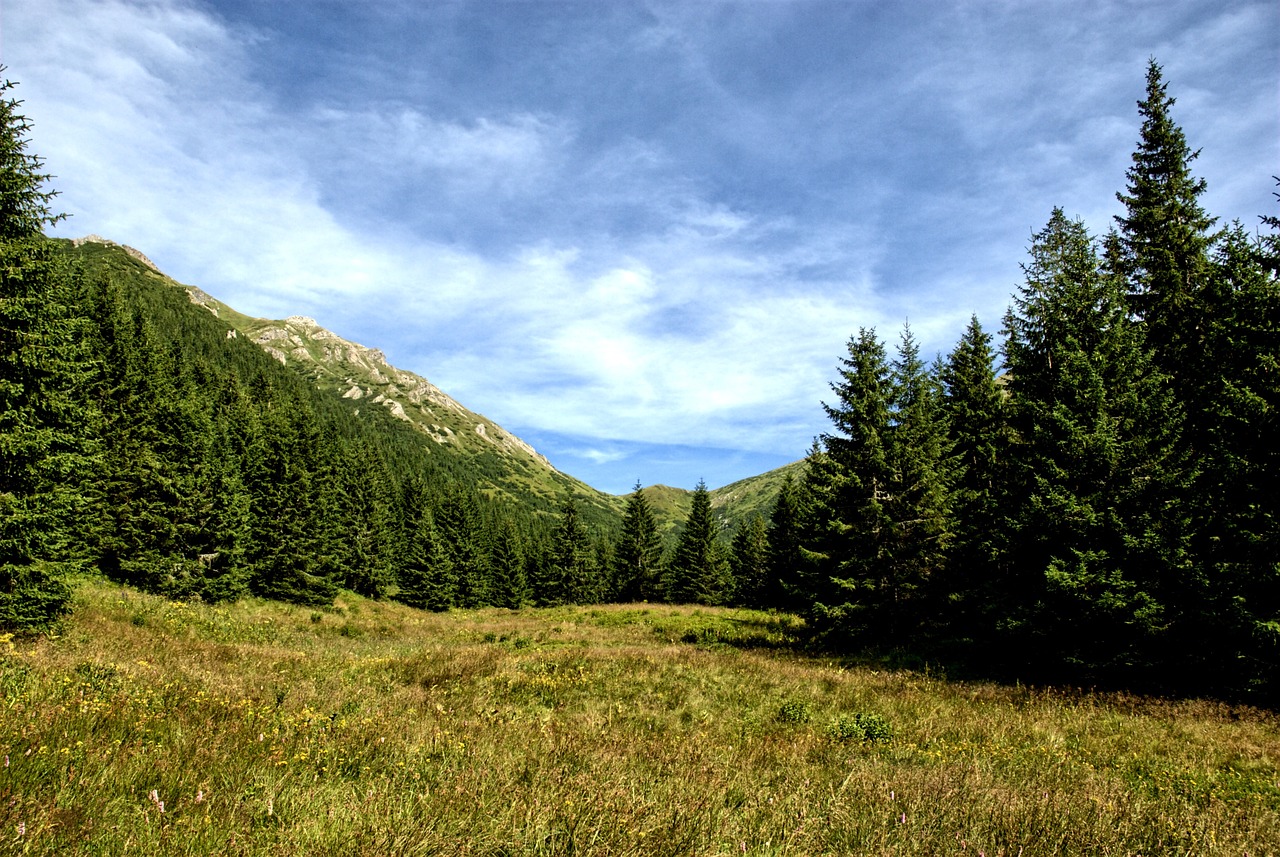 tatry slovakia landscape free photo