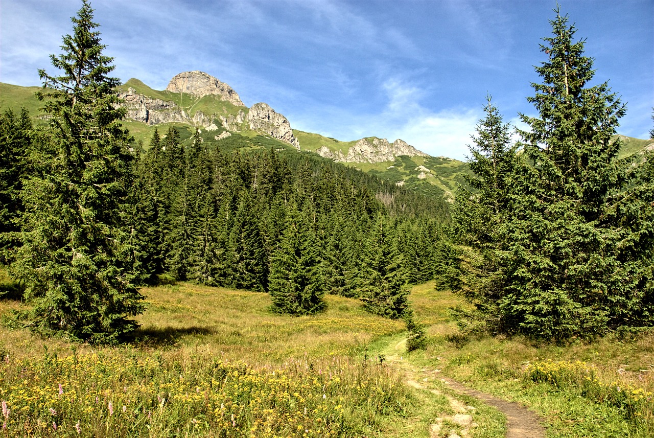 tatry slovakia landscape free photo