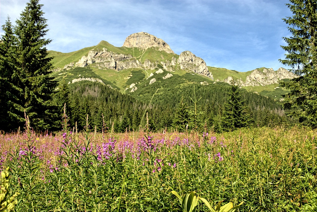 tatry slovakia landscape free photo