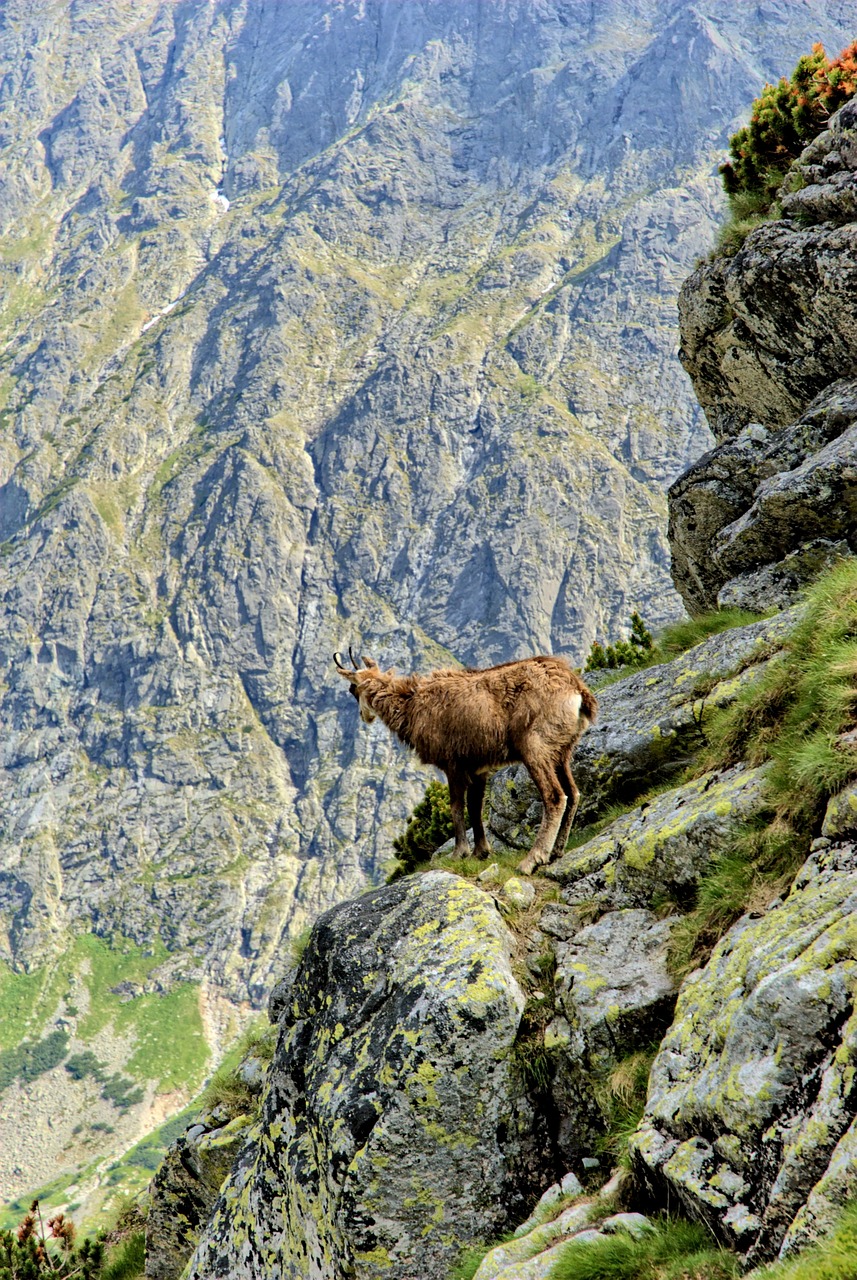 tatry slovakia landscape free photo