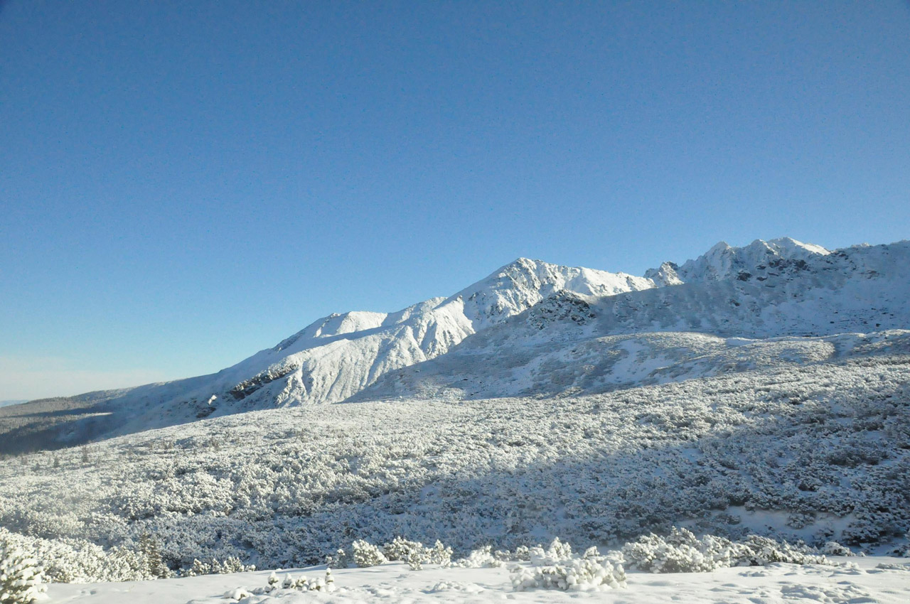 tatra mountains 2010 free photo