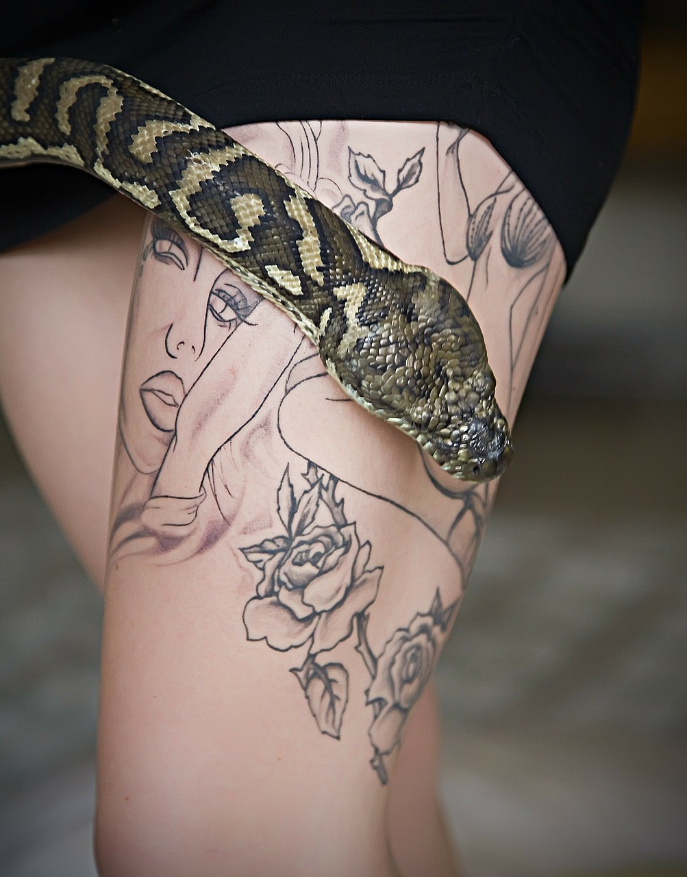 tattoo snake python free photo