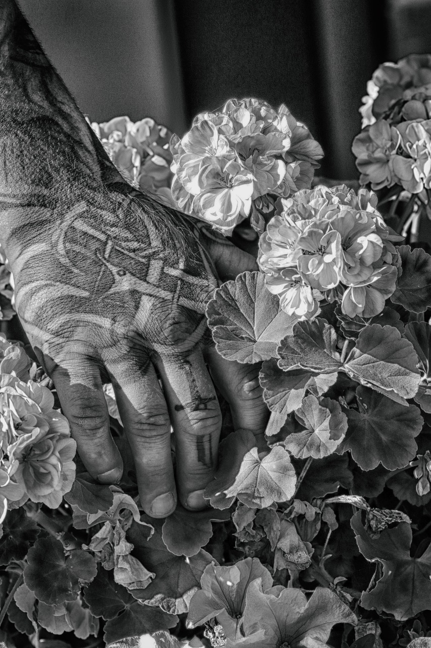 tattoo  hand  flower free photo