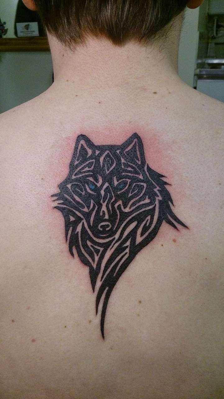 tattoo tattooing wolf free photo