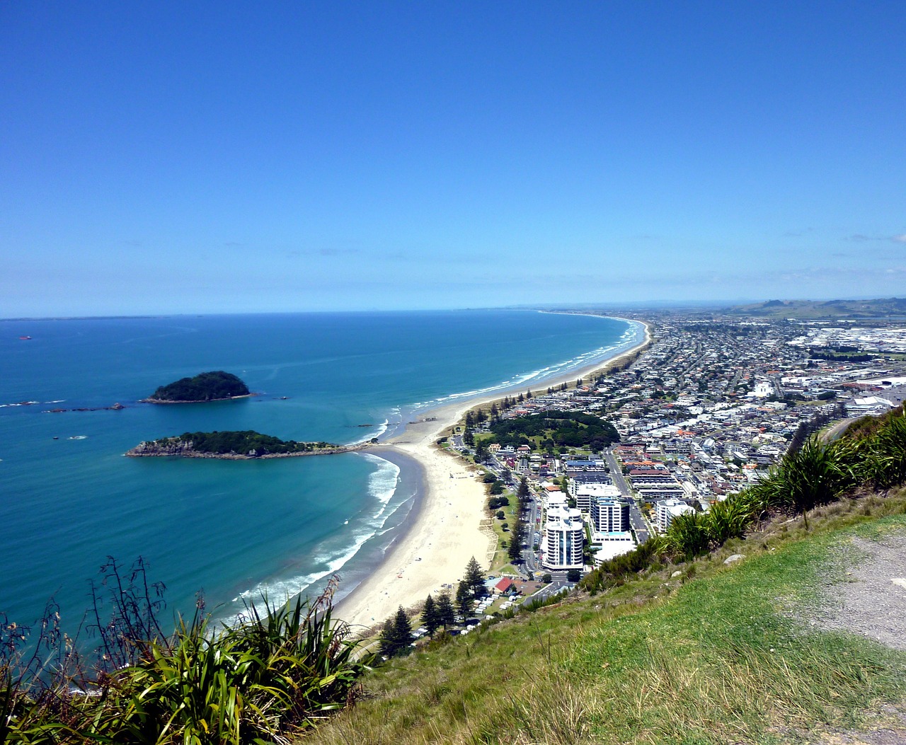 tauranga bay new zealand bay free photo