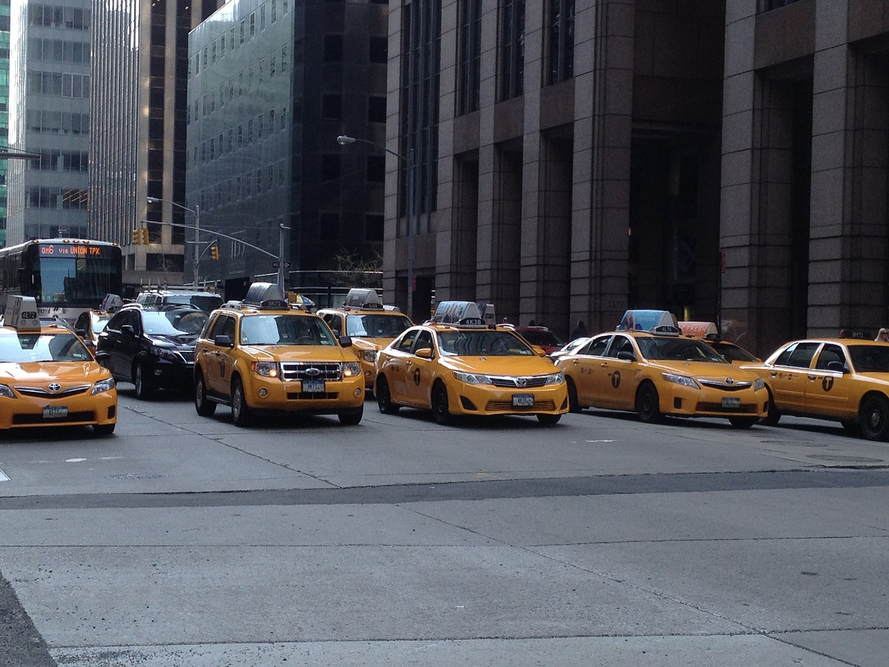 taxis new york nyc free photo