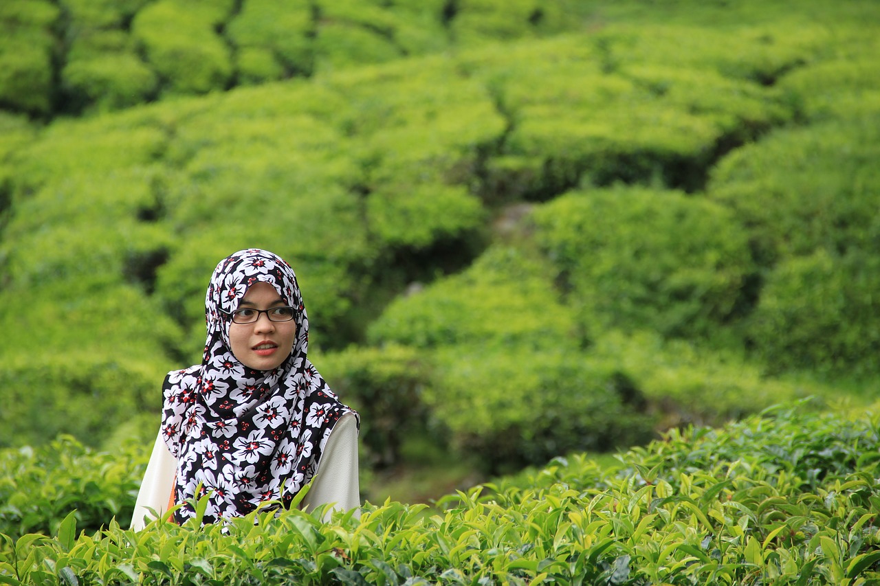 tea woman hijab free photo