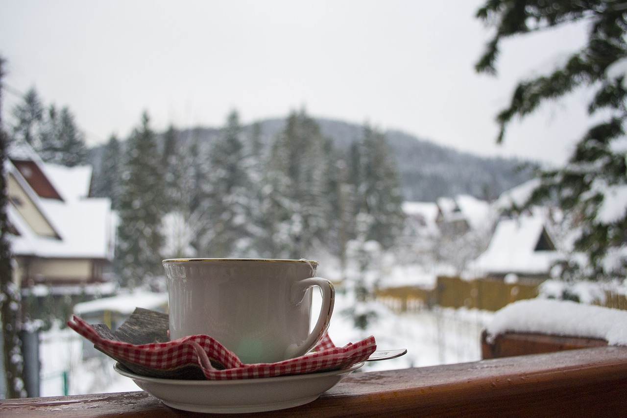 tea teacup winter free photo