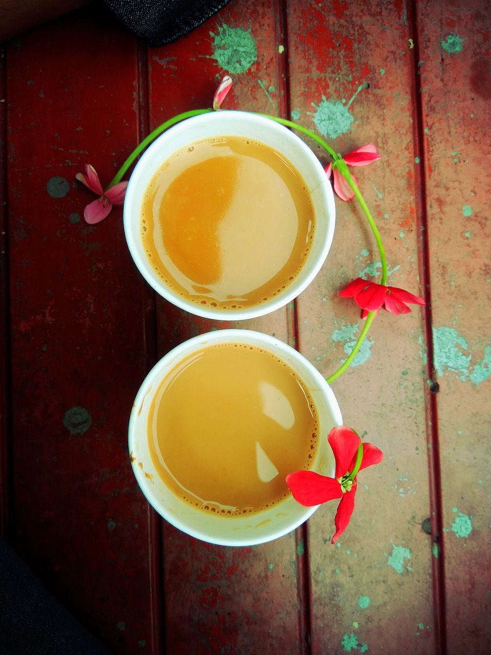 tea break flower free photo